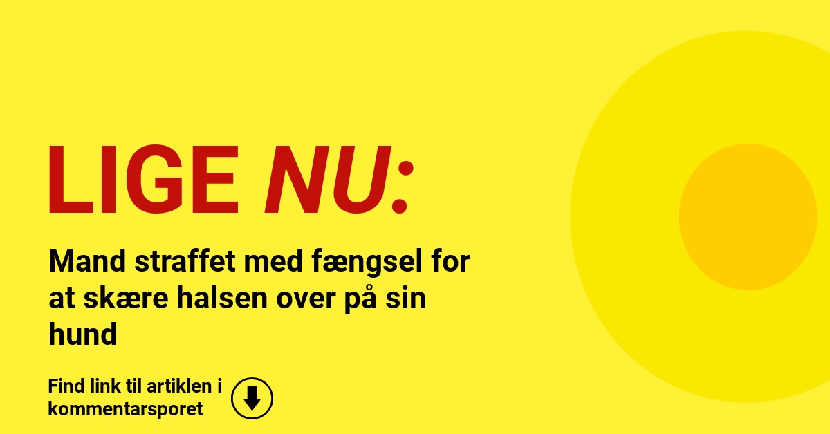 Mand straffet med fængsel for at skære halsen over på sin hund