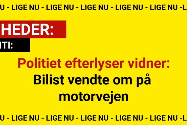Politiet efterlyser vidner: Bilist vendte om på motorvejen