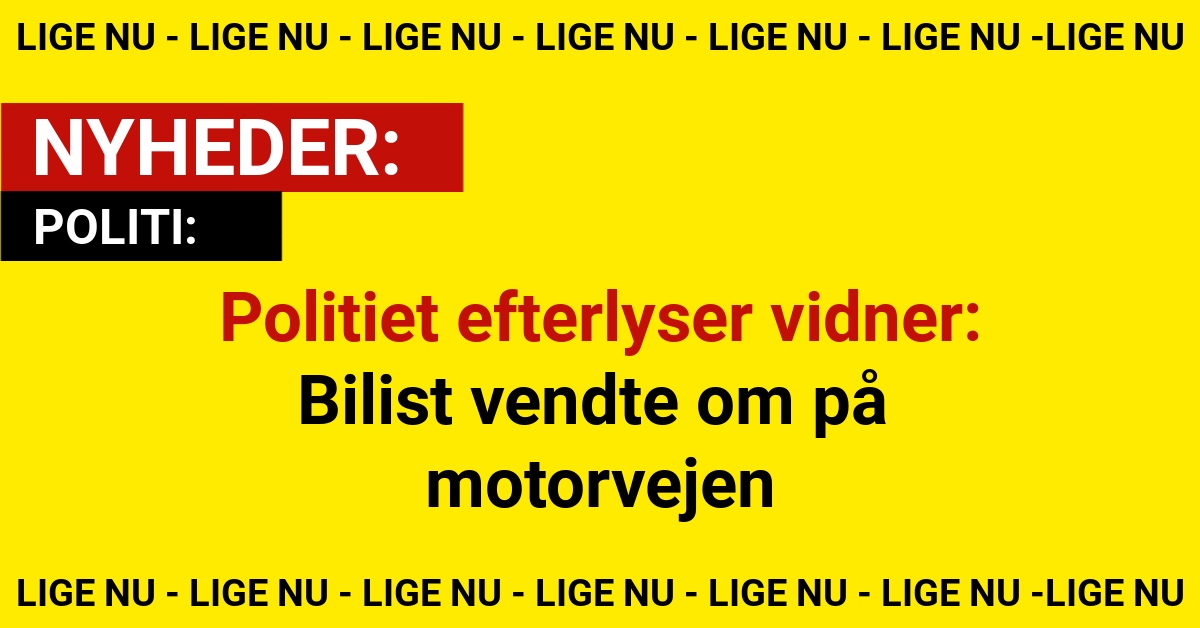 Politiet efterlyser vidner: Bilist vendte om på motorvejen