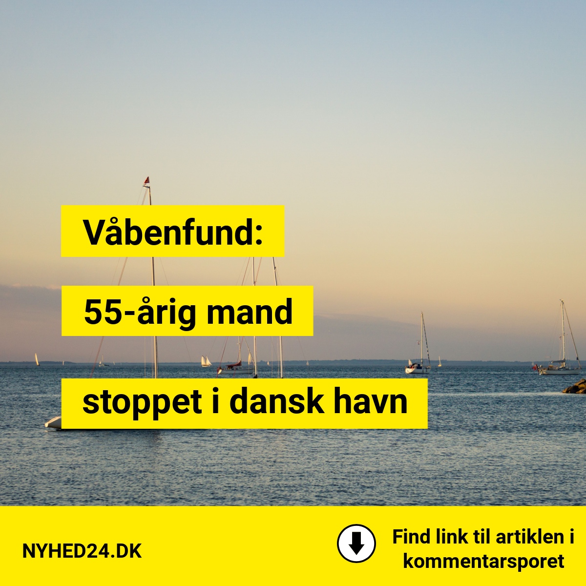 stoppet i dansk havn