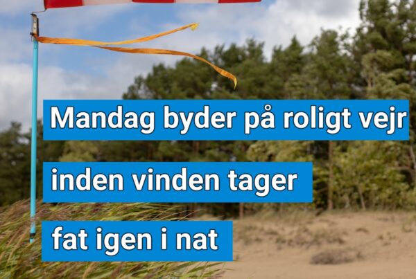 Nyd stilheden – for i nat vågner vinden igen