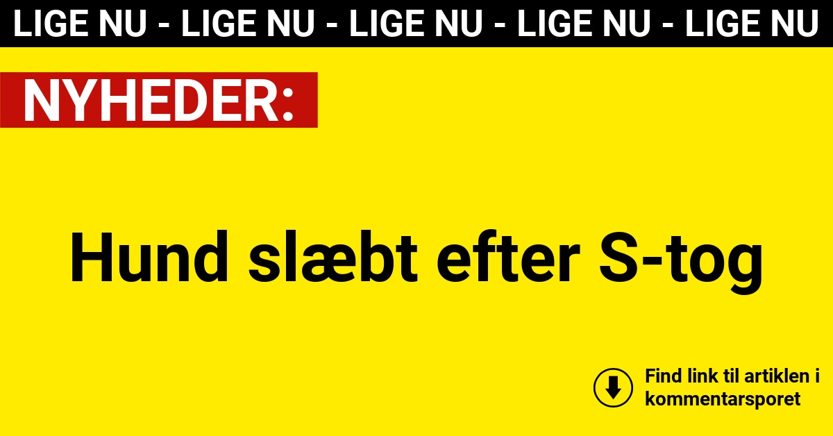 Hund slæbt efter S-tog