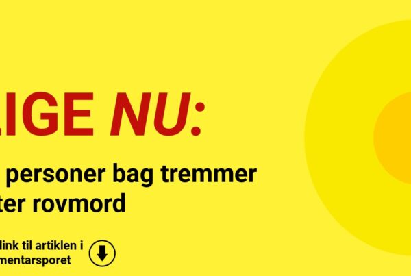 To personer bag tremmer efter rovmord