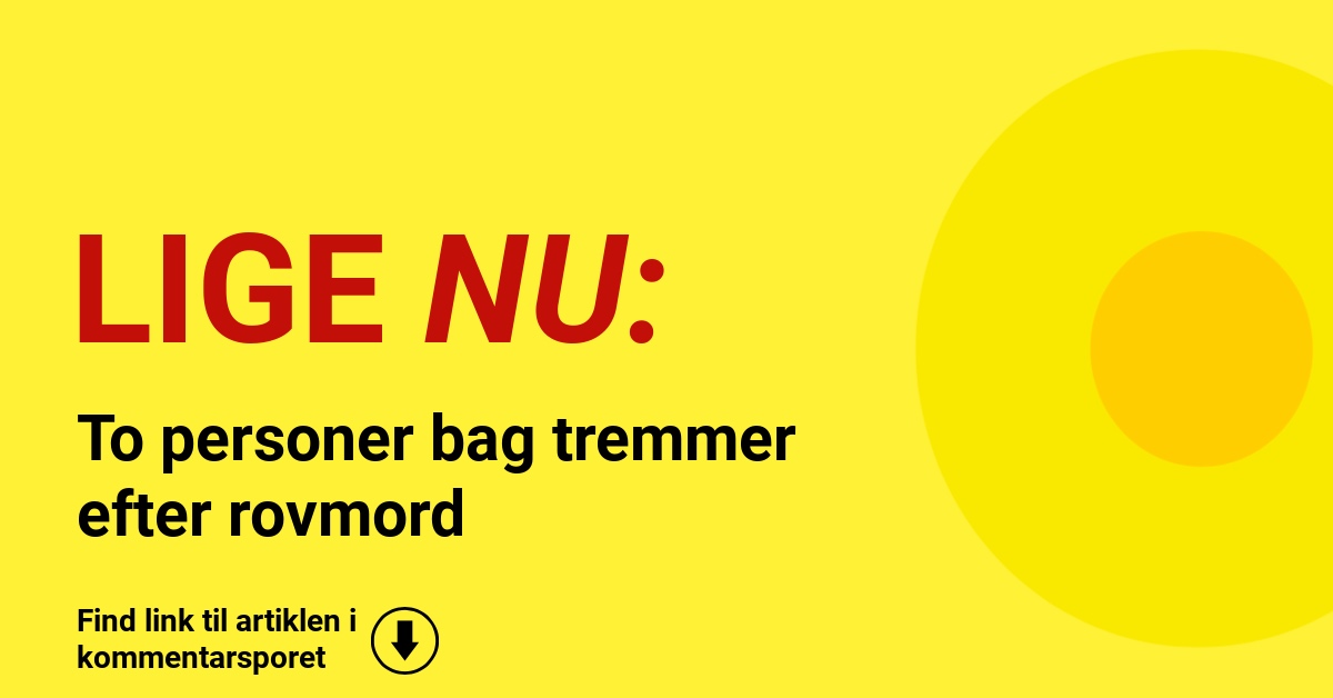 To personer bag tremmer efter rovmord