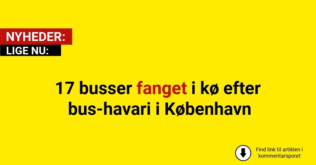 17 busser fanget i kø efter bus-havari i København