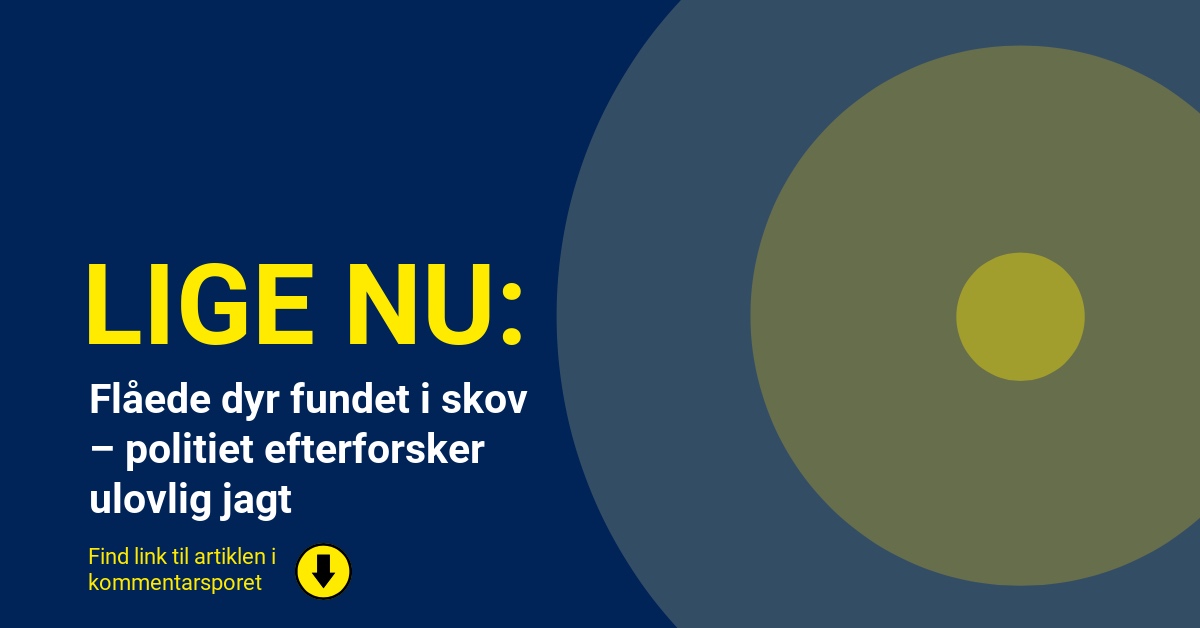 Flåede dyr fundet i skov – politiet efterforsker ulovlig jagt