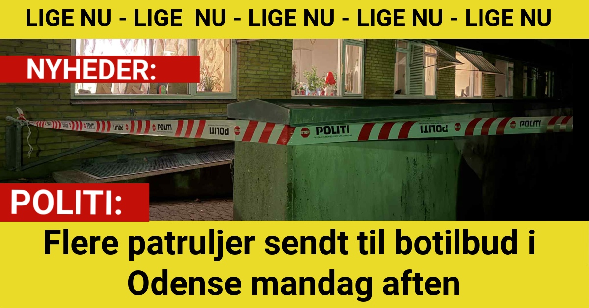 Flere patruljer sendt til botilbud i Odense mandag aften