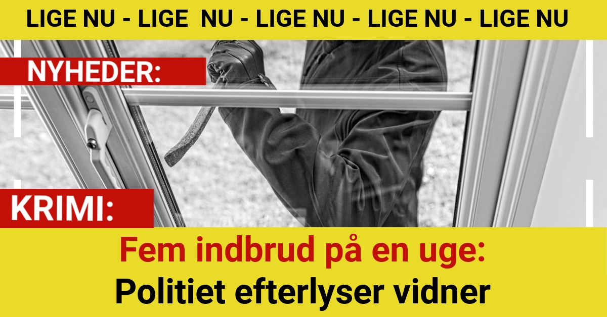 Fem indbrud på en uge: Politiet efterlyser vidnerFem indbrud på en uge: Politiet efterlyser vidner