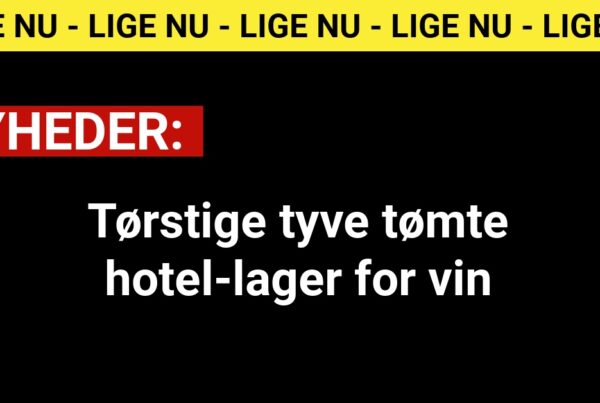 Tørstige tyve tømte hotel-lager for vin