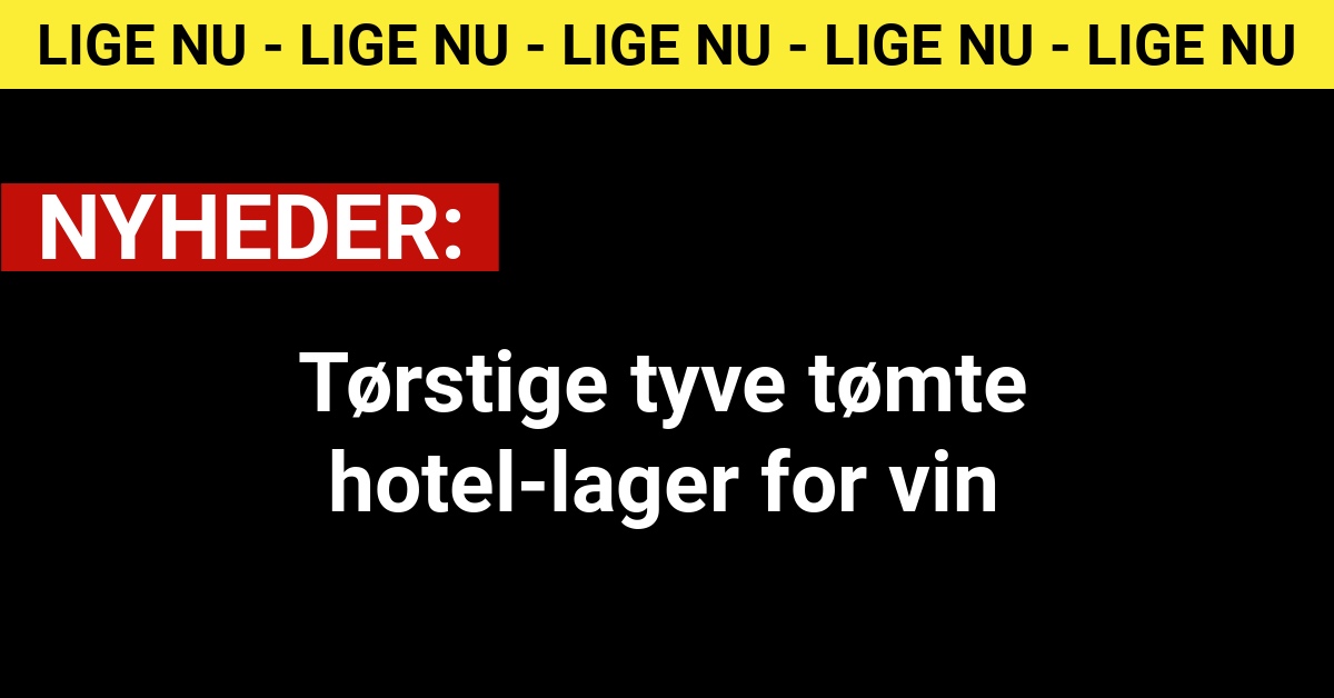 Tørstige tyve tømte hotel-lager for vin