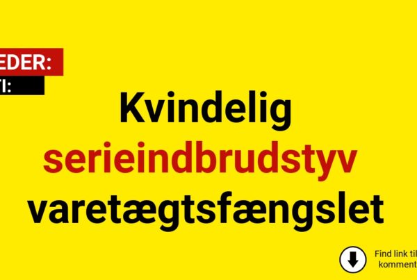 Kvindelig serieindbrudstyv varetægtsfængslet