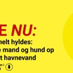 14-årig helt hyldes: Reddede mand og hund op af iskoldt havnevand