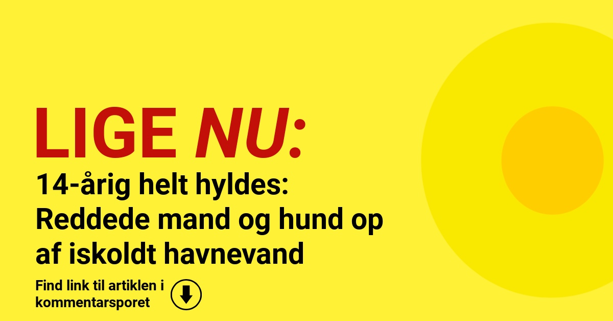 14-årig helt hyldes: Reddede mand og hund op af iskoldt havnevand