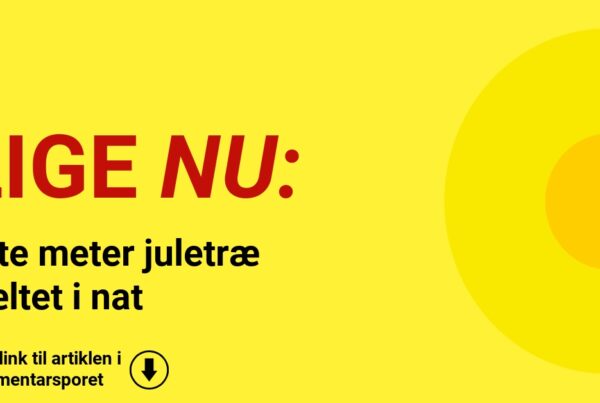 Otte meter juletræ væltet i nat