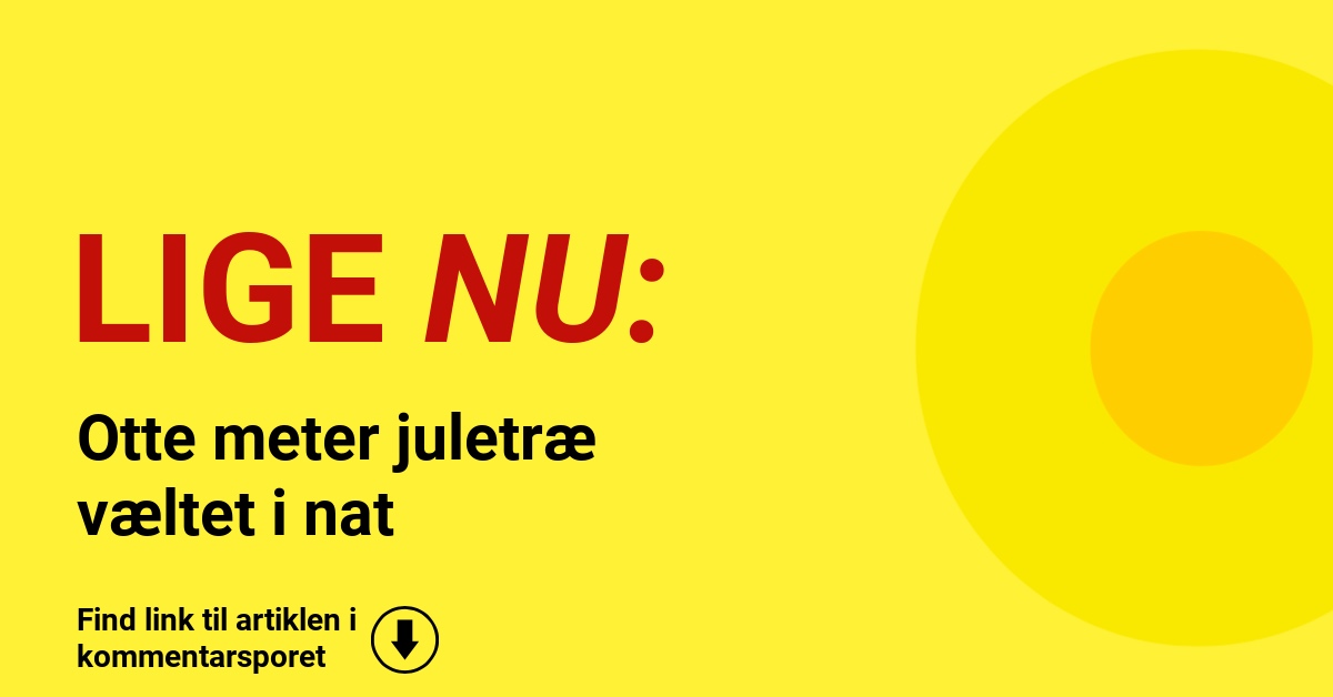 Otte meter juletræ væltet i nat