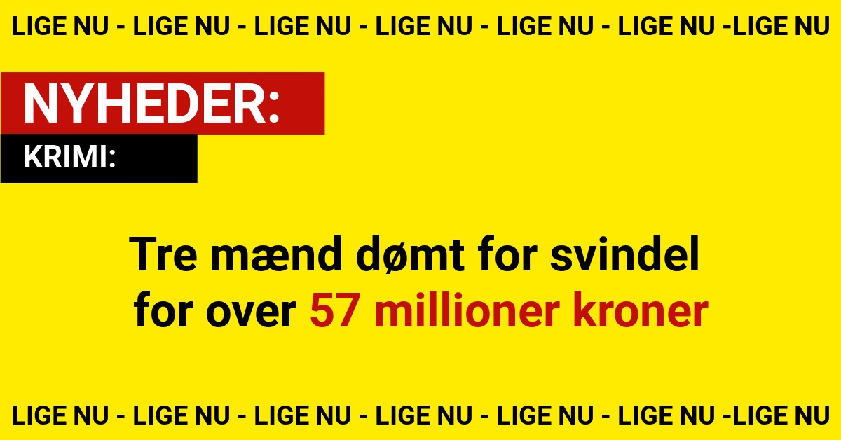Tre mænd dømt for svindel for over 57 millioner kroner