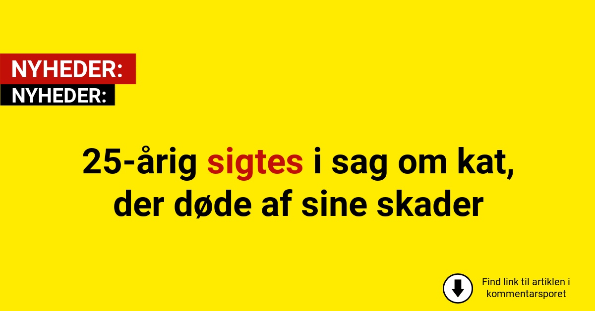 25-årig sigtes i sag om kat, der døde af sine skader