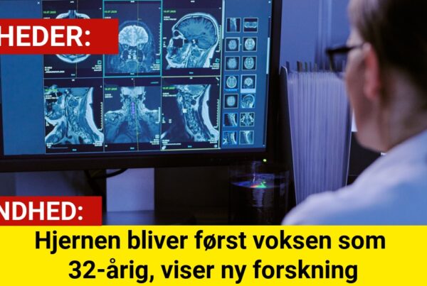 Forskerne overrasker: Din hjerne modnes langt senere end antaget