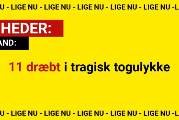 11 dræbt i tragisk togulykke