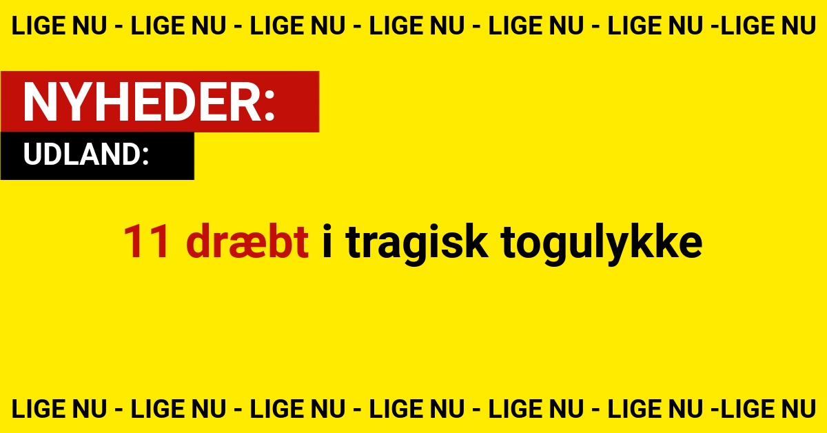 11 dræbt i tragisk togulykke