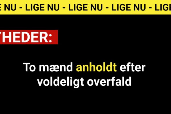 To mænd anholdt efter voldeligt overfald