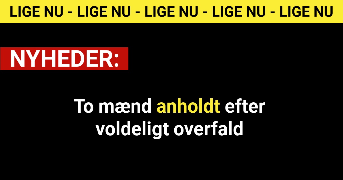 To mænd anholdt efter voldeligt overfald