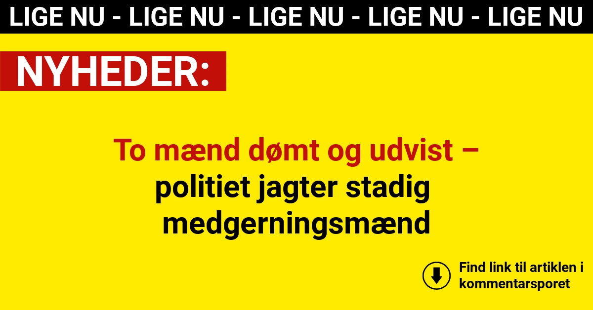 To mænd dømt og udvist – politiet jagter stadig medgerningsmænd