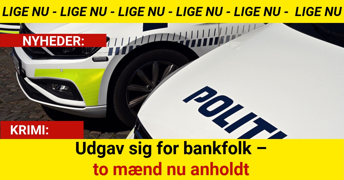 To mænd anholdt for bedrageri mod ældre i flere byerTo mænd anholdt for bedrageri mod ældre i flere byer