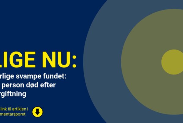 Farlige svampe fundet: En person død efter forgiftning