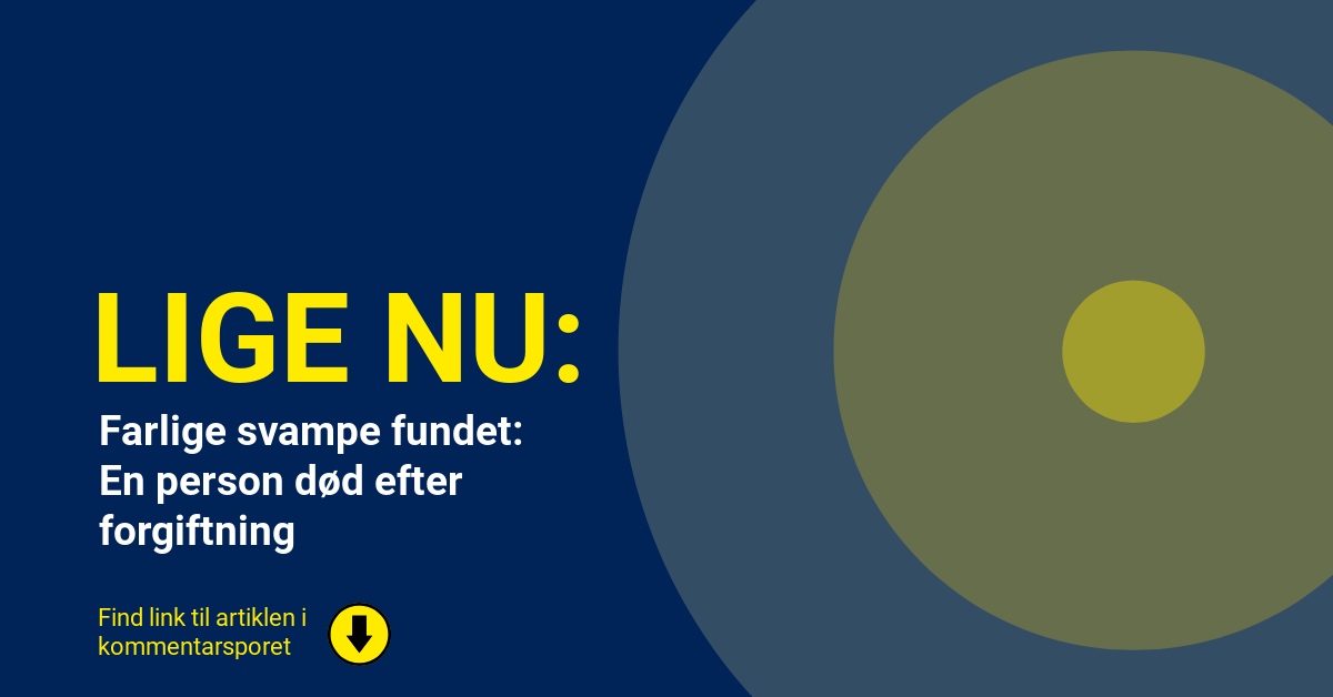 Farlige svampe fundet: En person død efter forgiftning