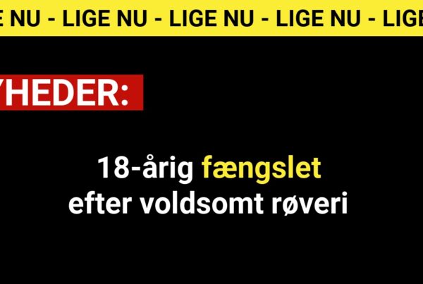 18-årig fængslet efter voldsomt røveri