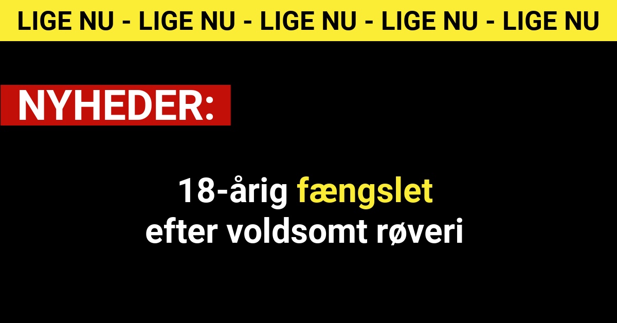 18-årig fængslet efter voldsomt røveri