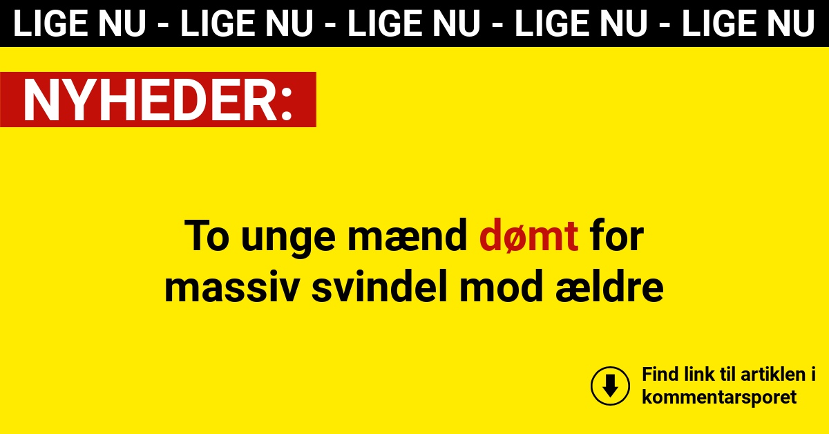 To unge mænd dømt for massiv svindel mod ældre