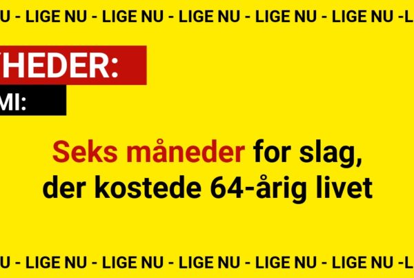 Seks måneder for slag, der kostede 64-årig livet