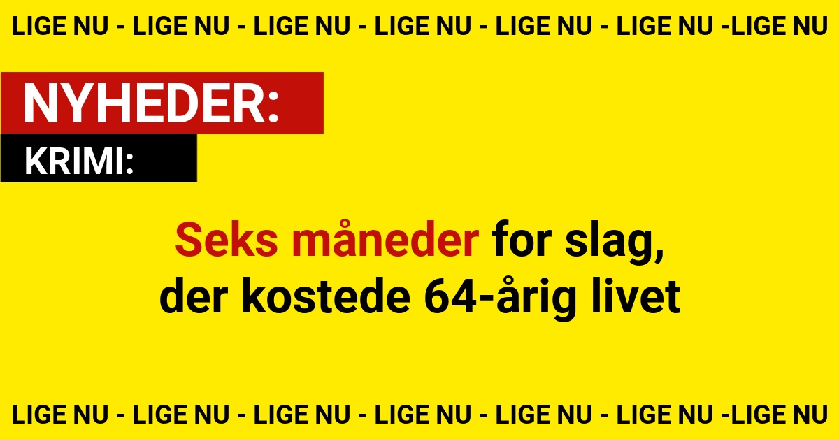 Seks måneder for slag, der kostede 64-årig livet