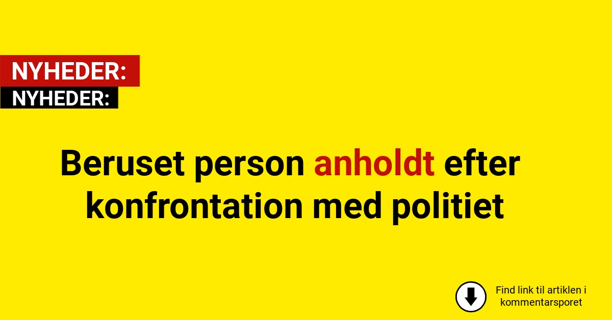 Beruset person anholdt efter konfrontation med politiet