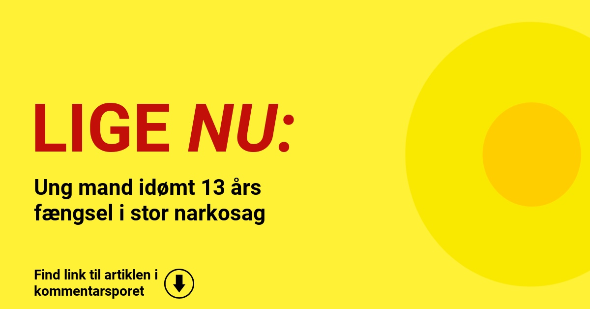 Ung mand idømt 13 års fængsel i stor narkosag