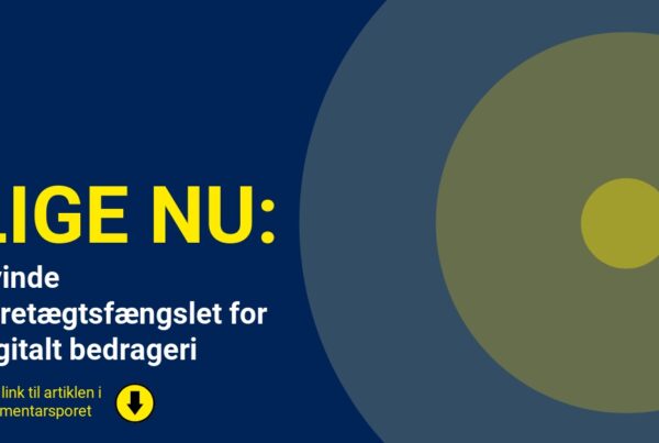 Kvinde varetægtsfængslet for digitalt bedrageri