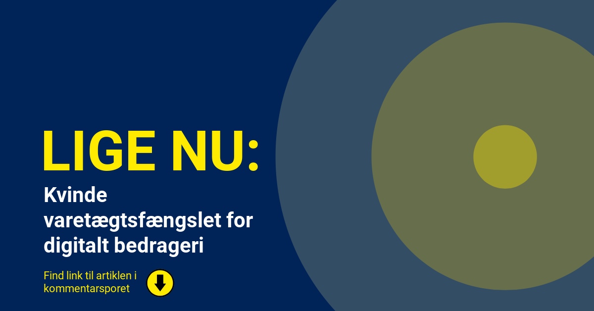 Kvinde varetægtsfængslet for digitalt bedrageri