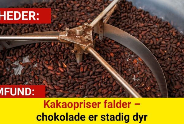 Kakao er blevet billigere – forbrugerne mærker det ikke