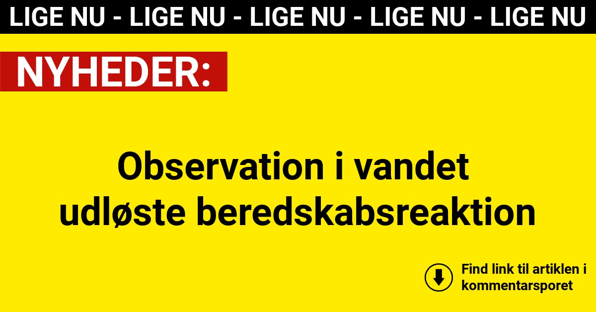Observation i vandet udløste beredskabsreaktion