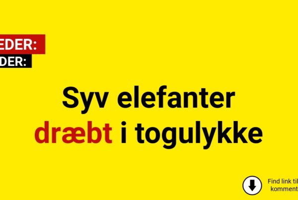 Syv elefanter dræbt i togulykke