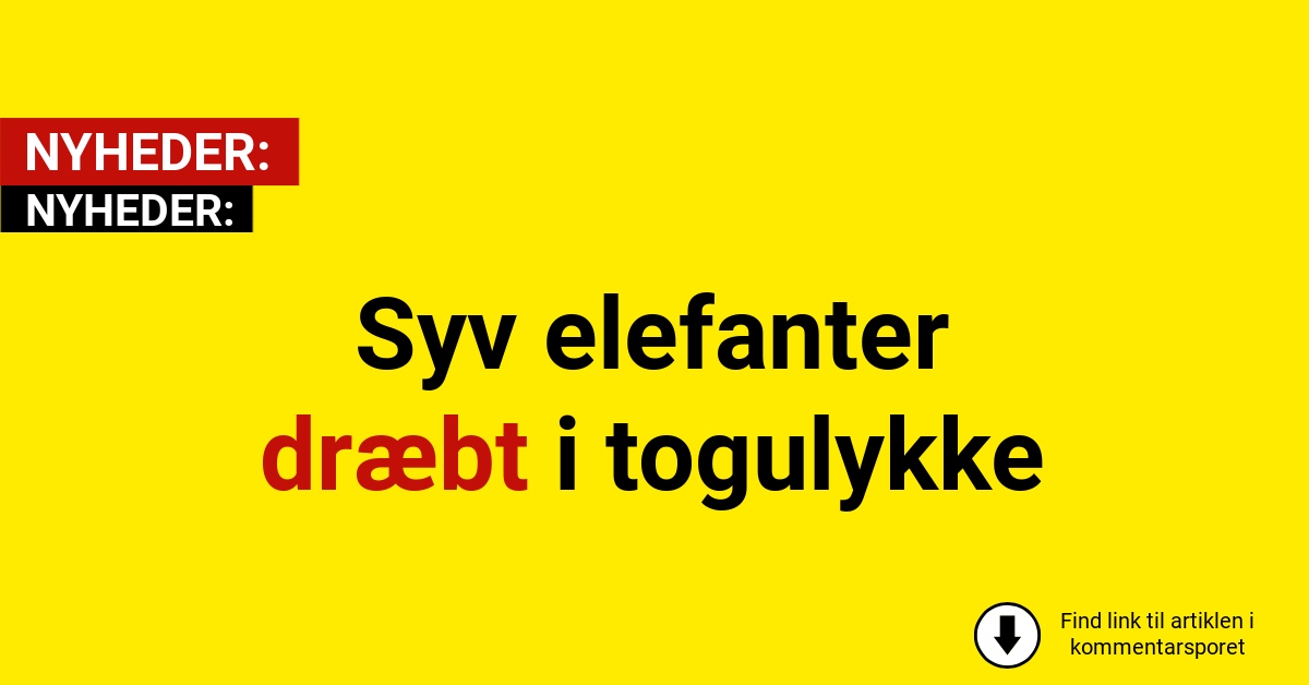 Syv elefanter dræbt i togulykke