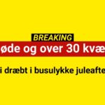 Ti dræbt i busulykke juleaften