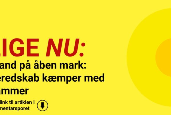 Brand på åben mark: Beredskab kæmper med flammer