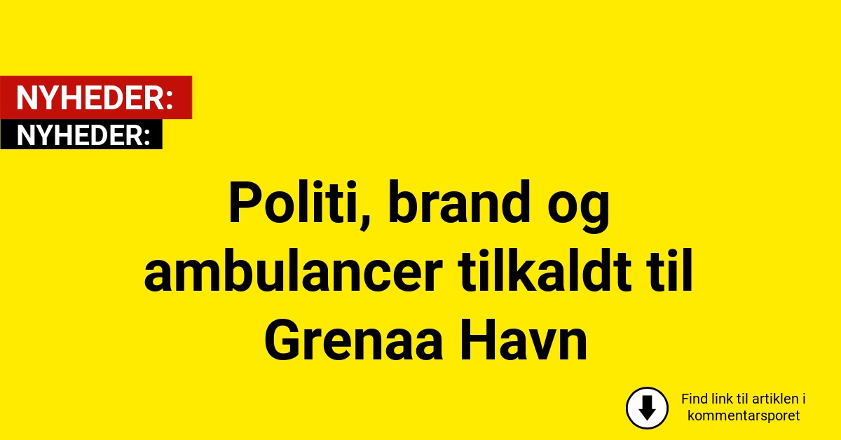 Politi, brand og ambulancer tilkaldt til Grenaa Havn