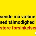 Rejsende må væbne sig med tålmodighed – store forsinkelser