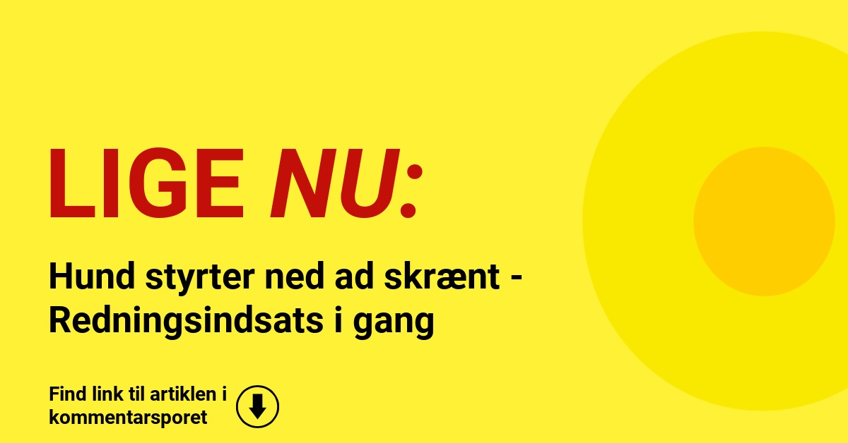 Hund styrter ned ad skrænt - Redningsindsats i gang