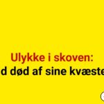 Mand i 60’erne død efter ulykken i skov under storm