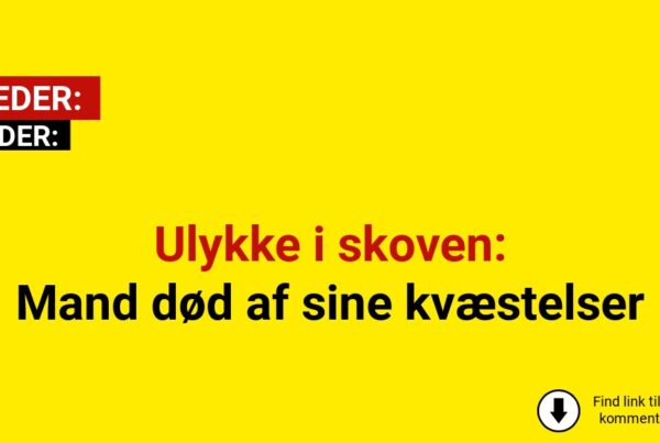 Mand i 60’erne død efter ulykken i skov under storm